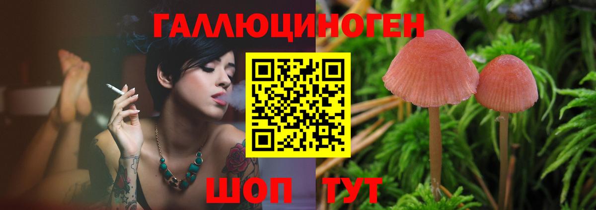 Псилоцибиновые грибы Magic Shrooms Ступино